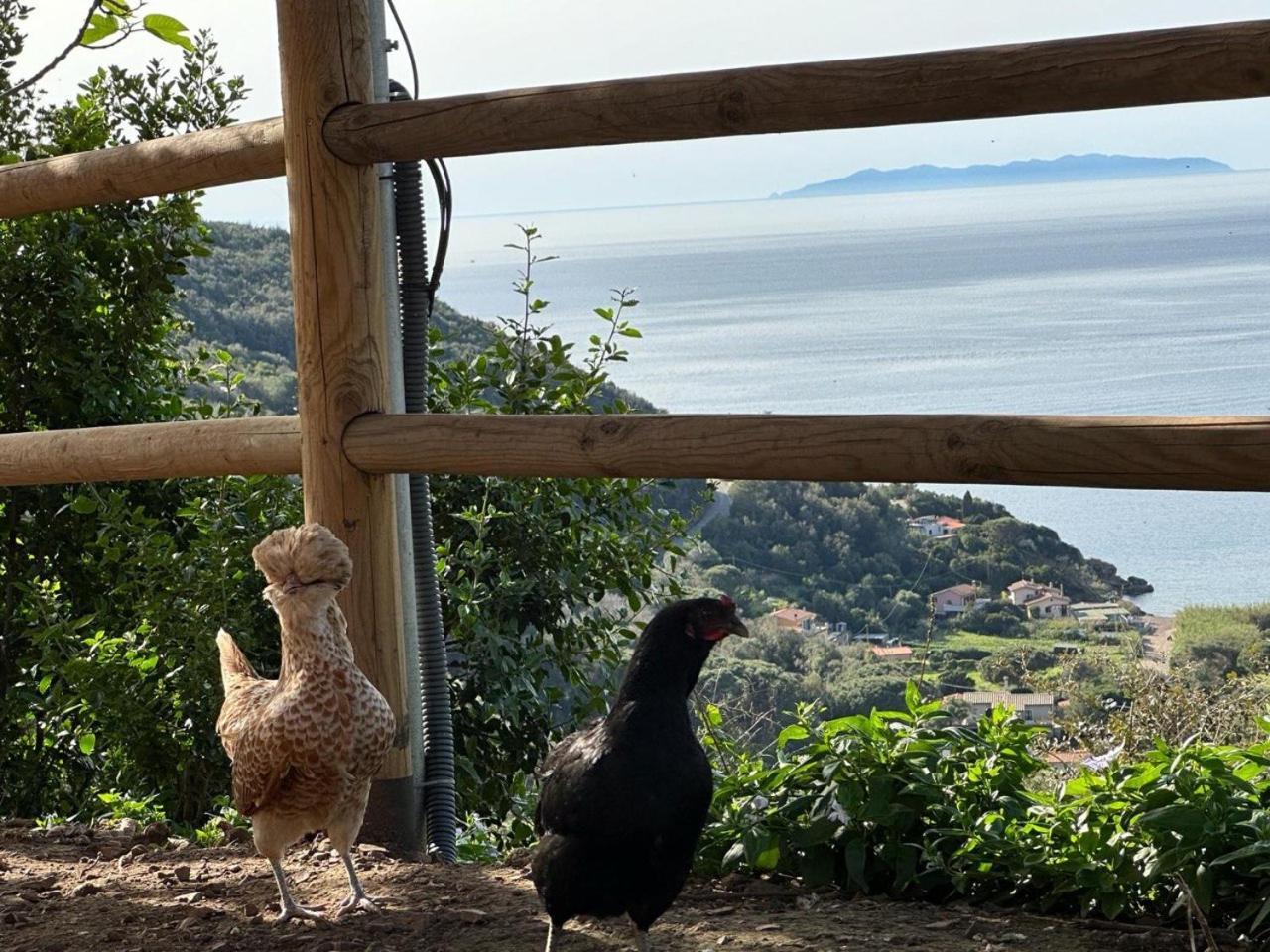 Agriturismo Paradisa Rio nell'Elba Ngoại thất bức ảnh