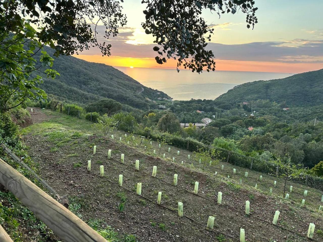 Agriturismo Paradisa Rio nell'Elba Ngoại thất bức ảnh